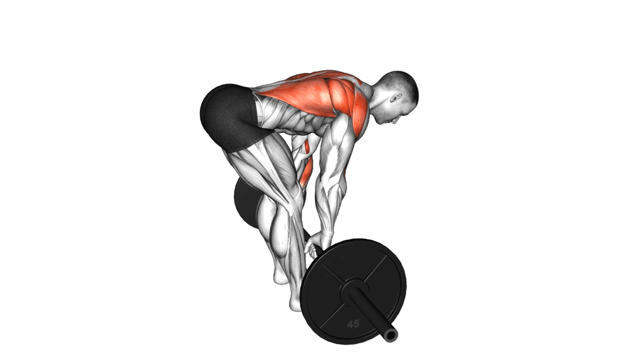 Barbell Bent Over Row