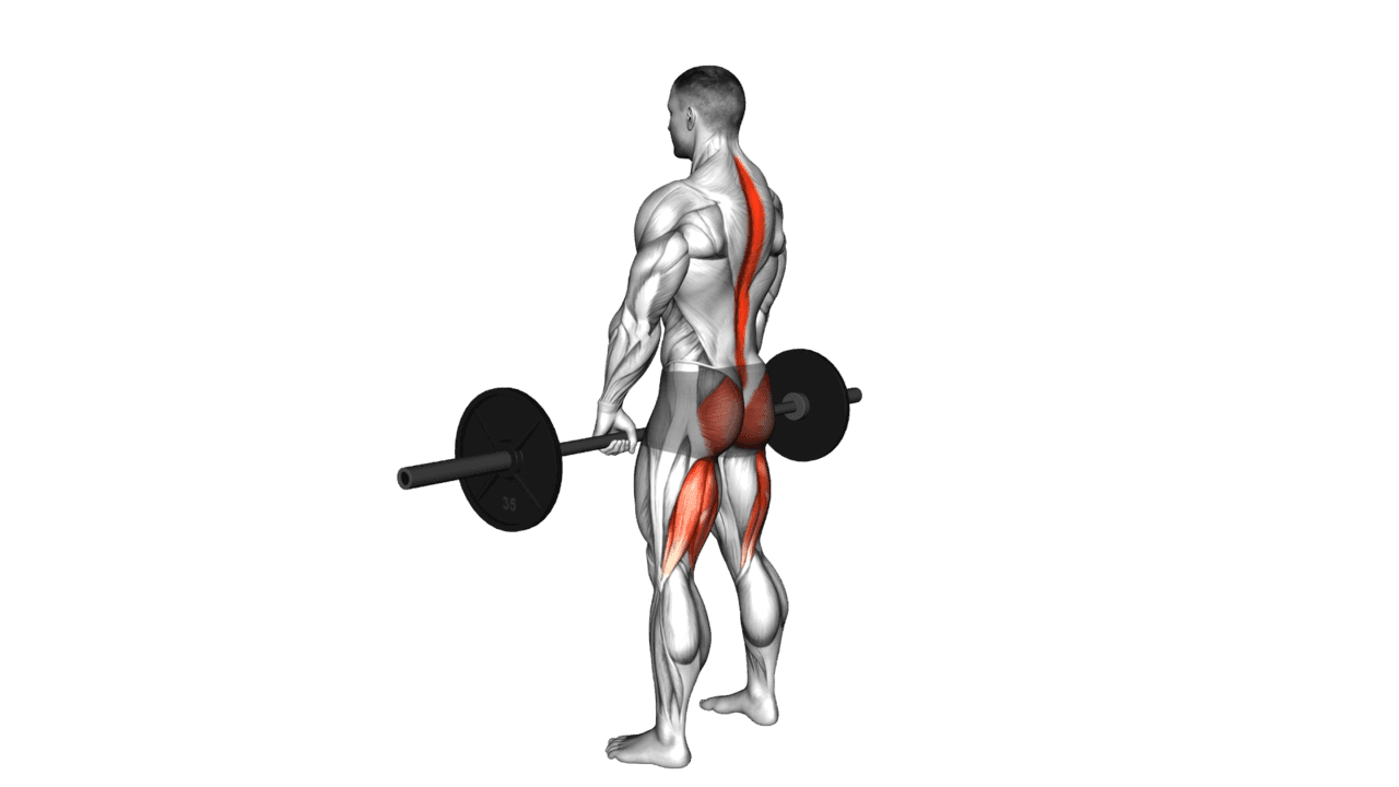 Barbell Romanian Deadlift