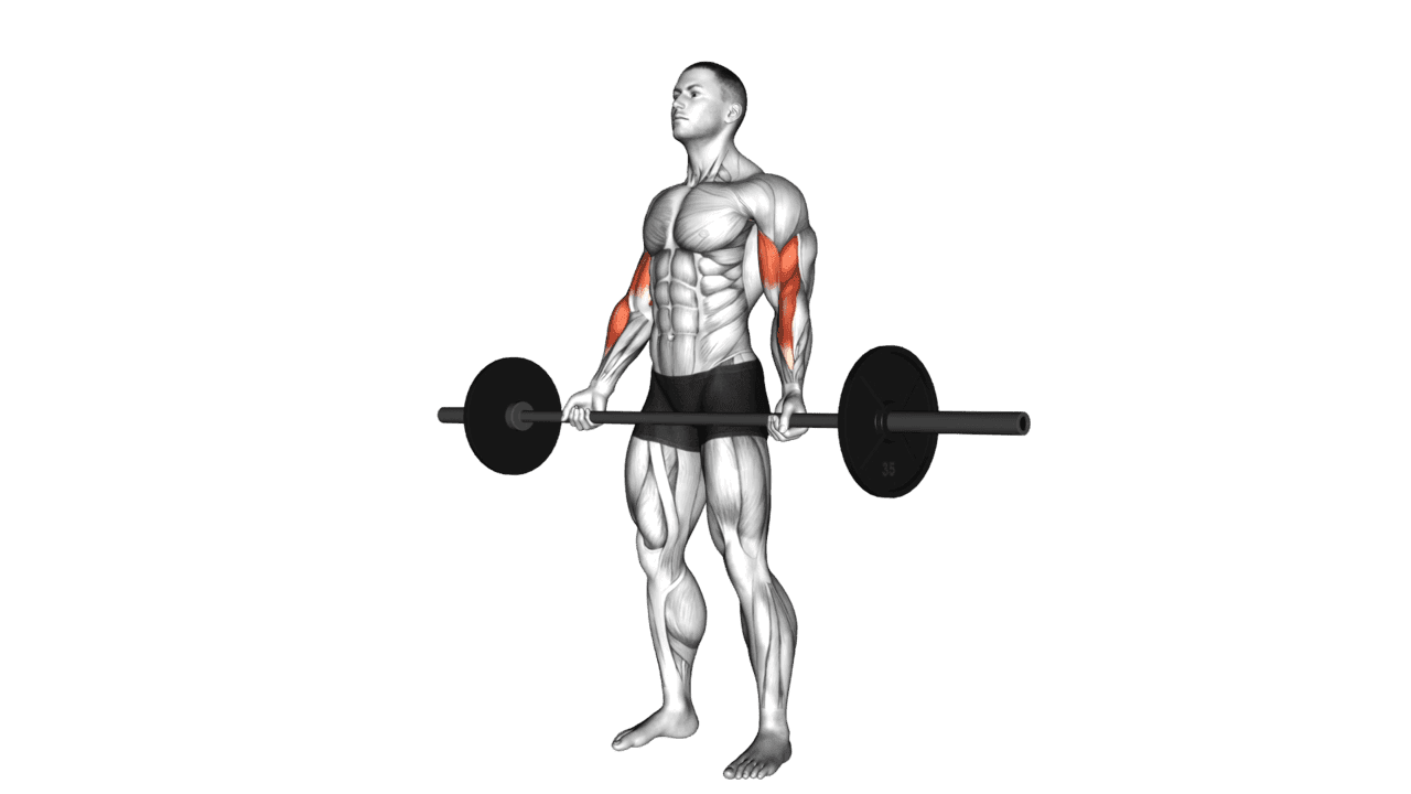 Barbell Standing Wide Grip Curl