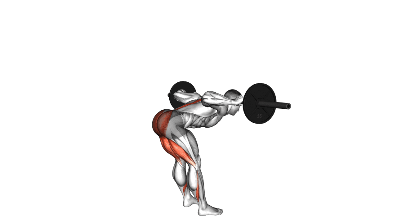 Barbell Stiff Leg Good Morning