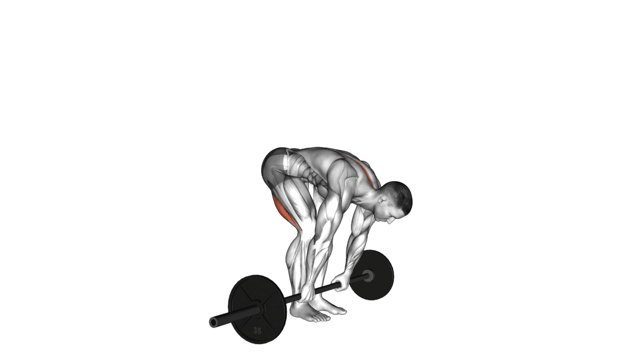 Barbell Straight Leg Deadlift