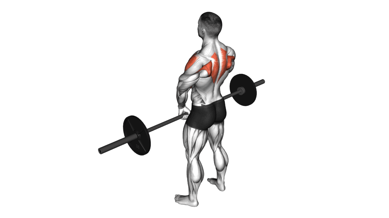 Barbell Upright Row V3