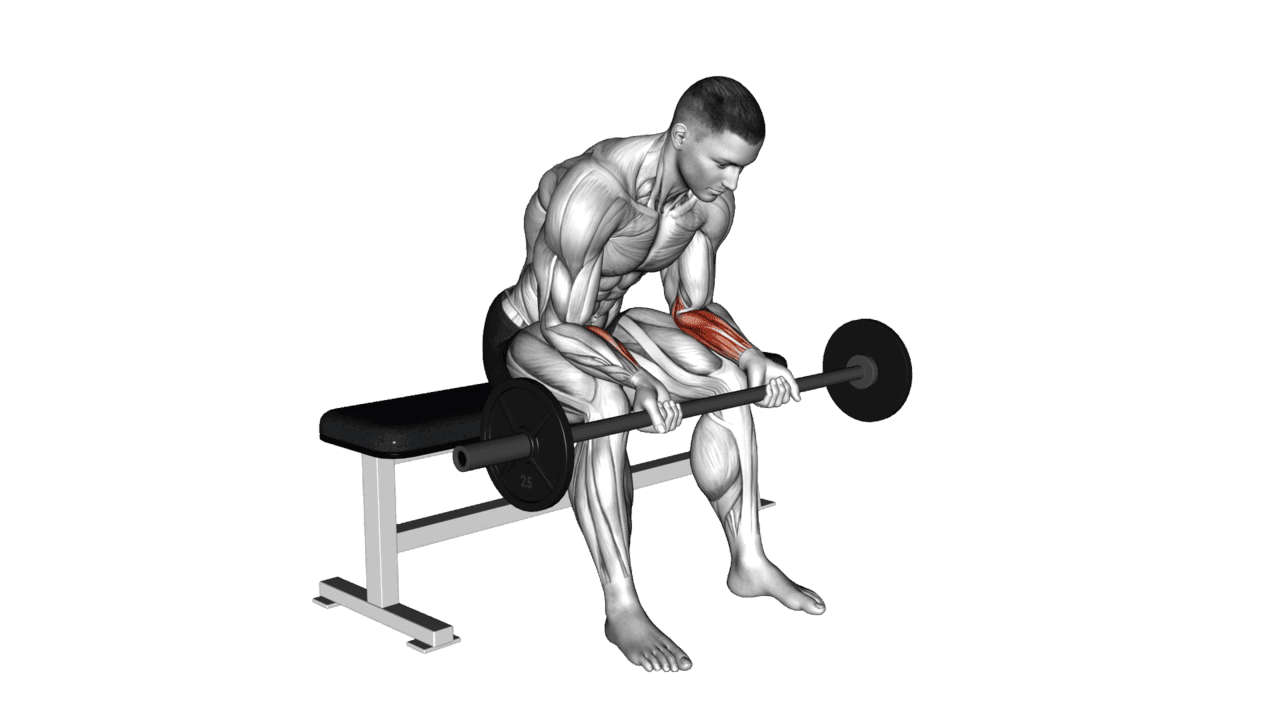 Barbell Wrist Curl V2