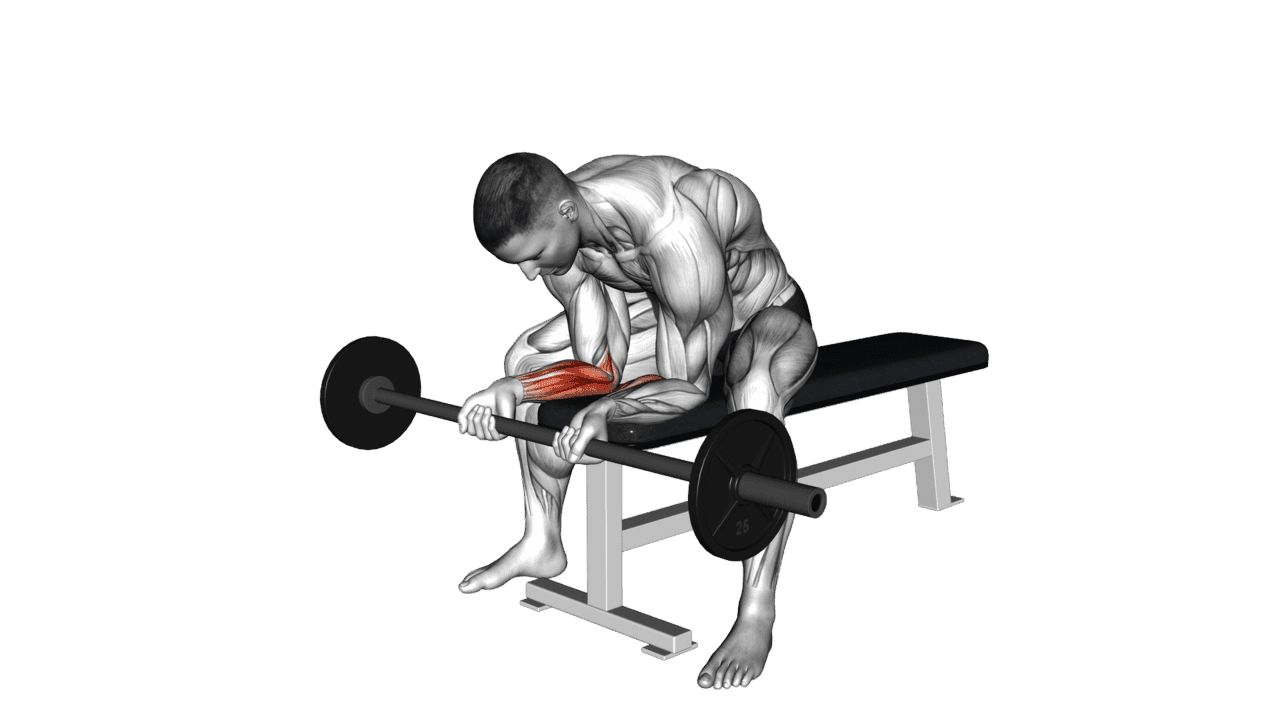 Barbell Wrist Curl