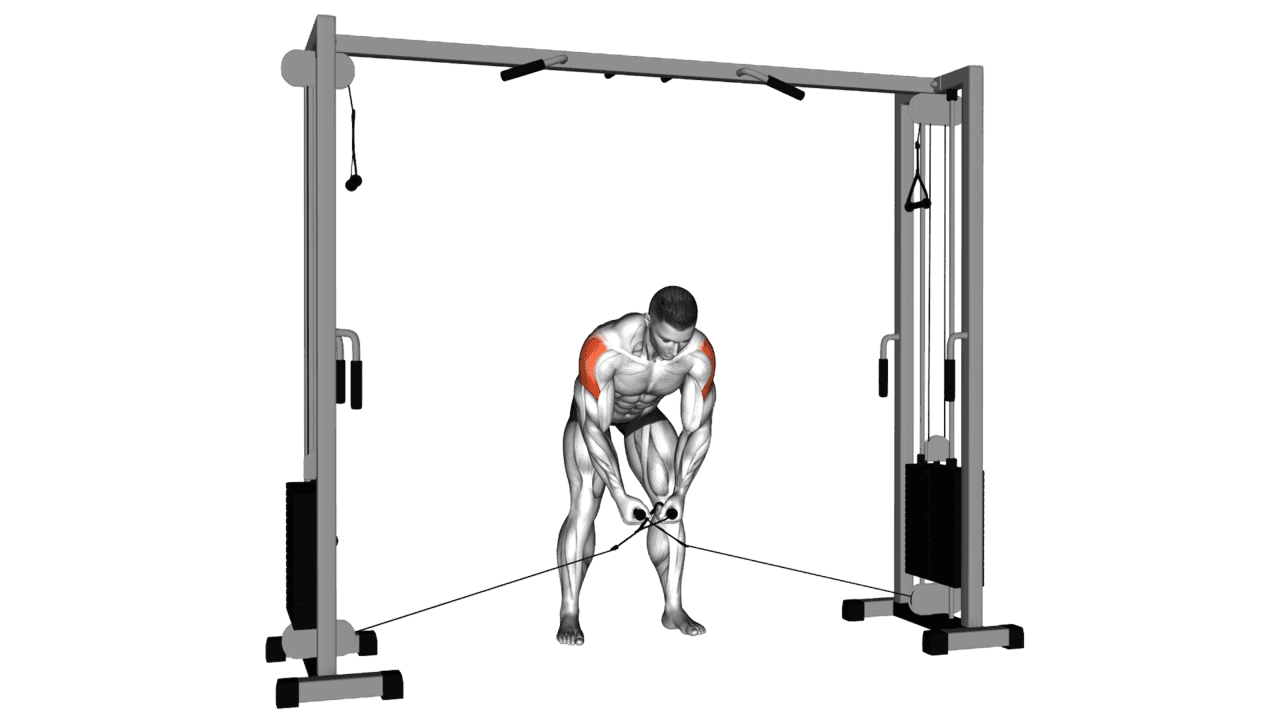 Cable Cross Over Reverse Fly