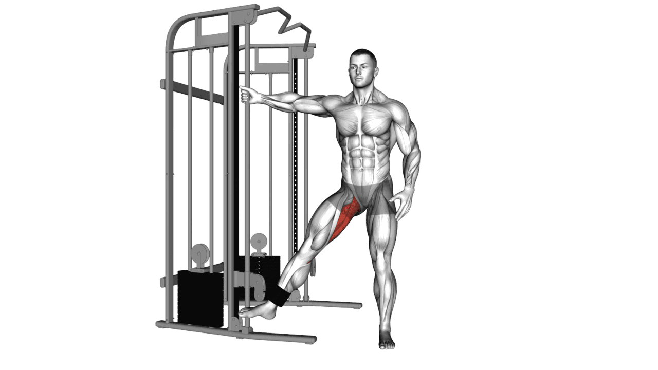 Cable Hip Adduction