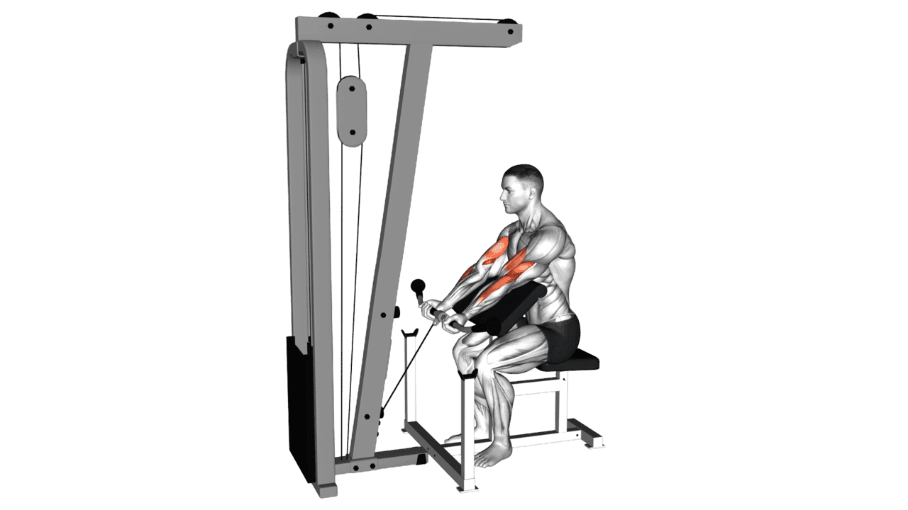 Cable Preacher Curl