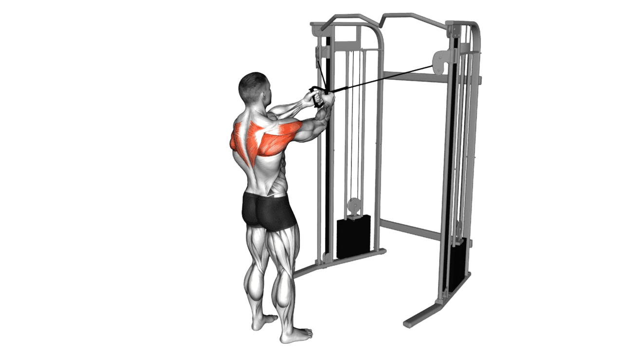 Cable Standing Cross Over High Reverse Fly