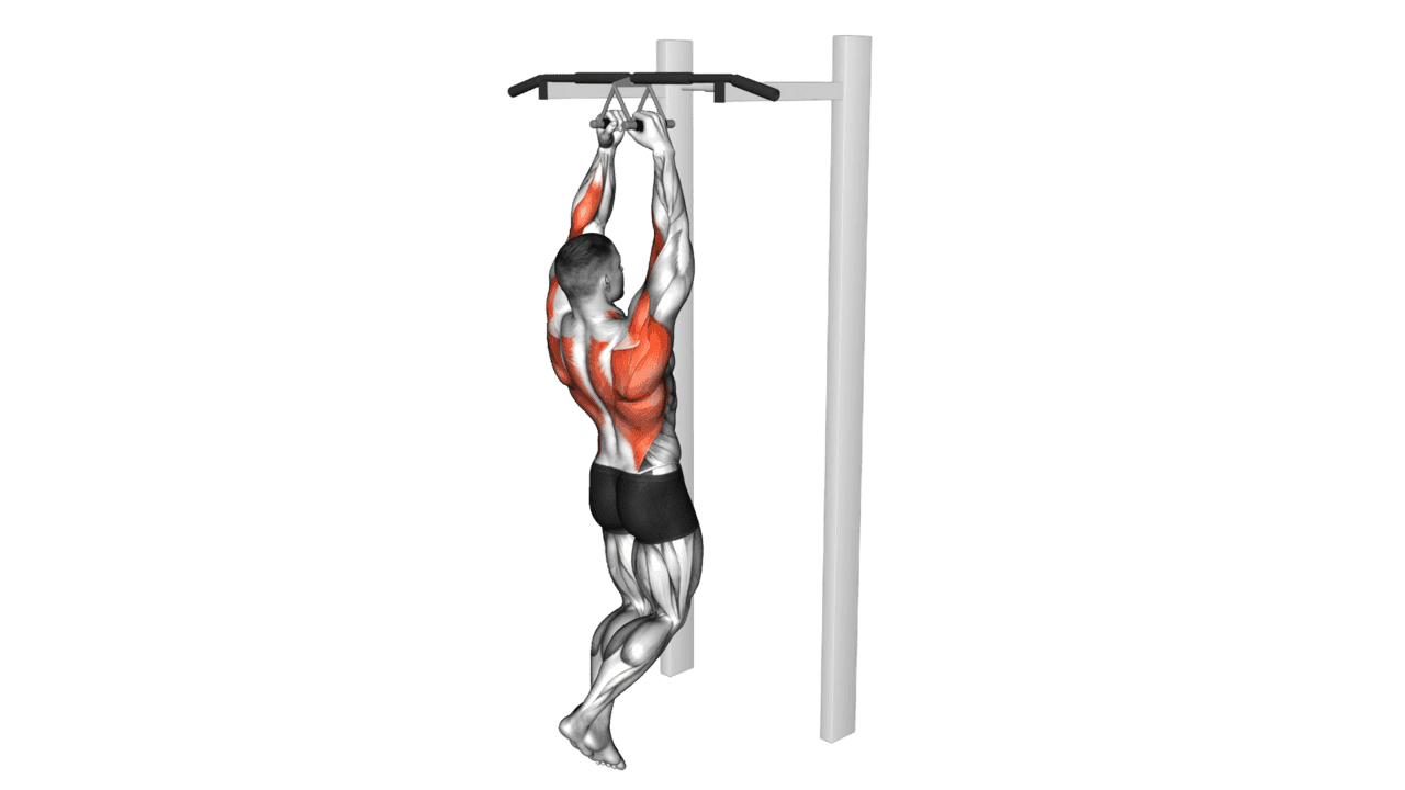 Chin Ups Narrow Parallel Grip