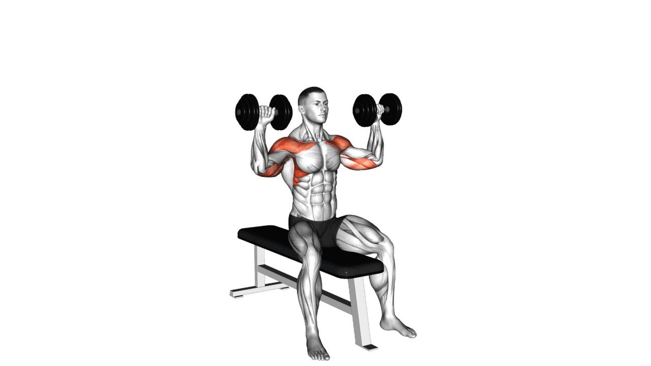 Dumbbell Bench Seated Press