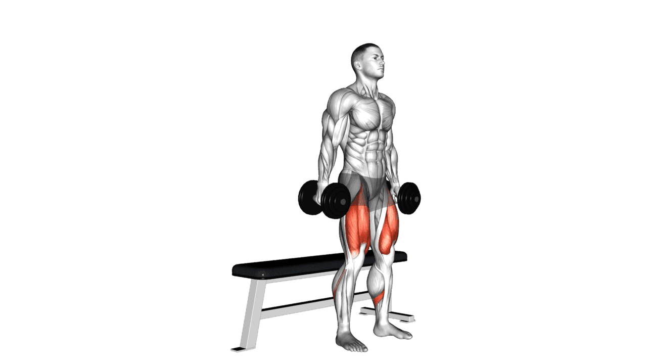 Dumbbell Bench Squat