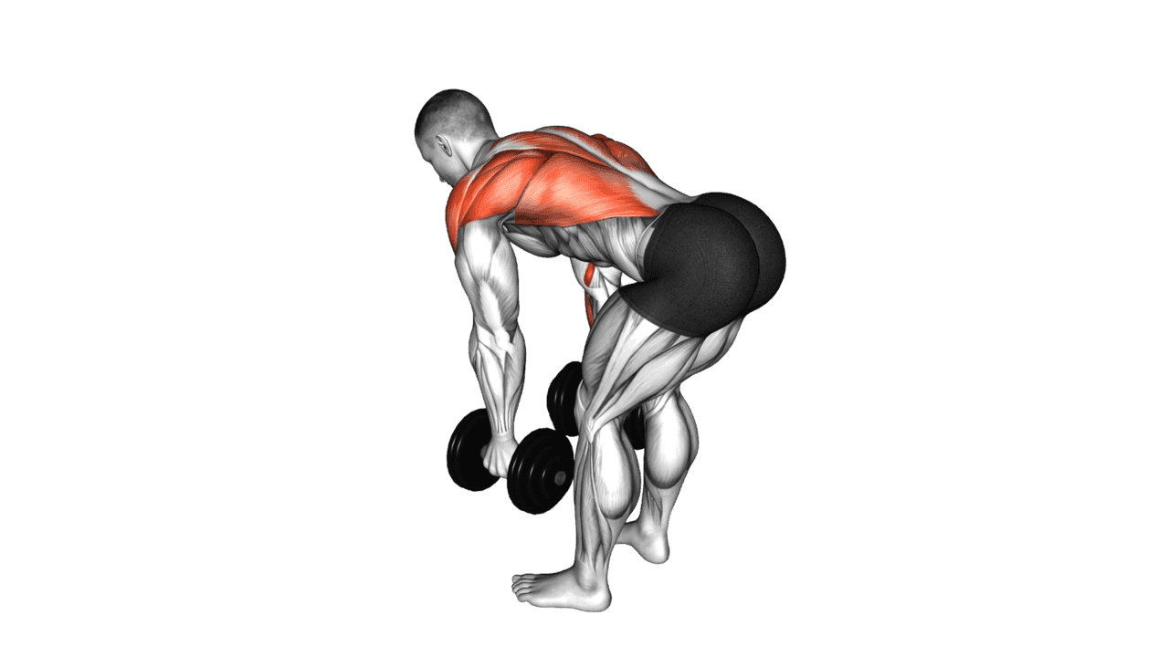 Dumbbell Bent Over Row