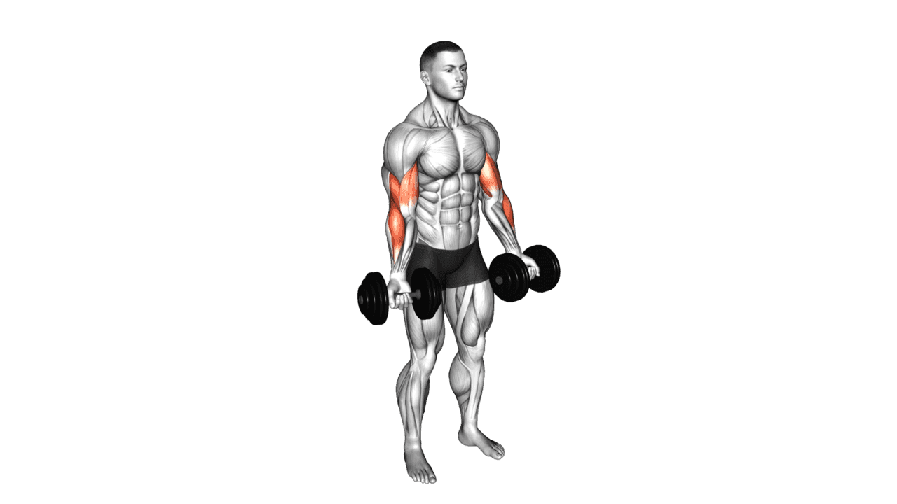 Dumbbell Biceps Curl
