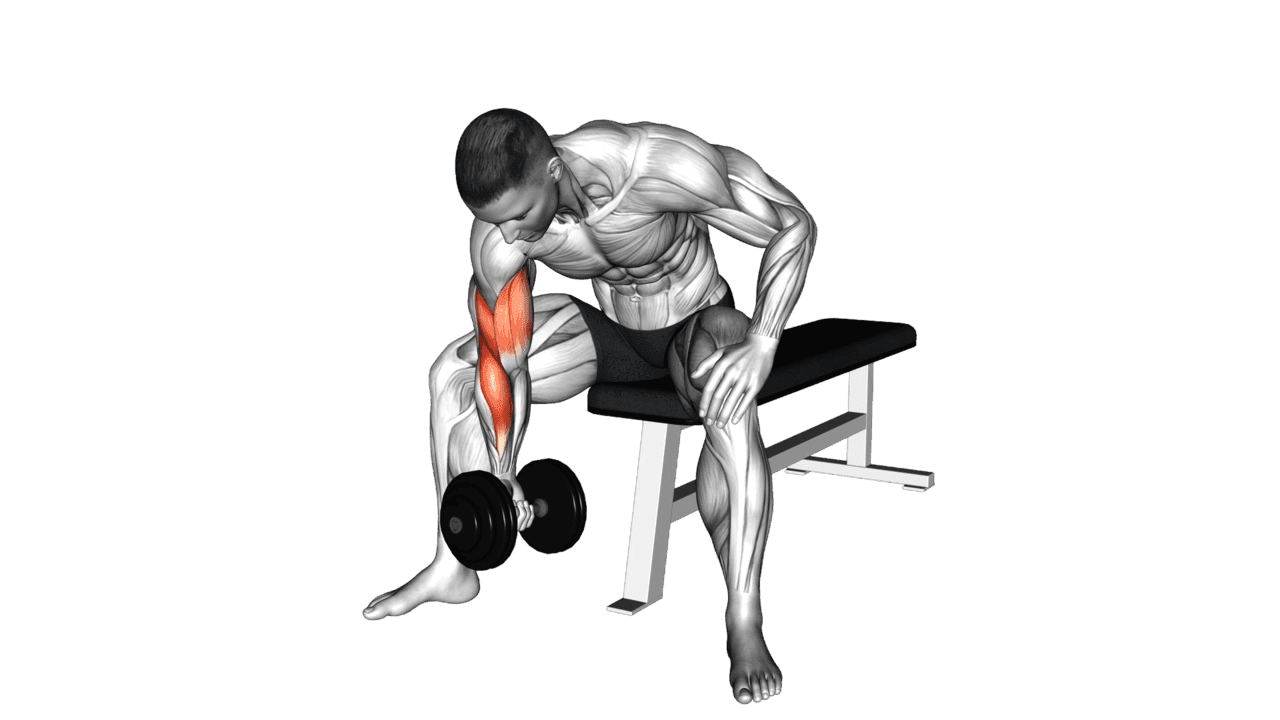 Dumbbell Concentration Curl