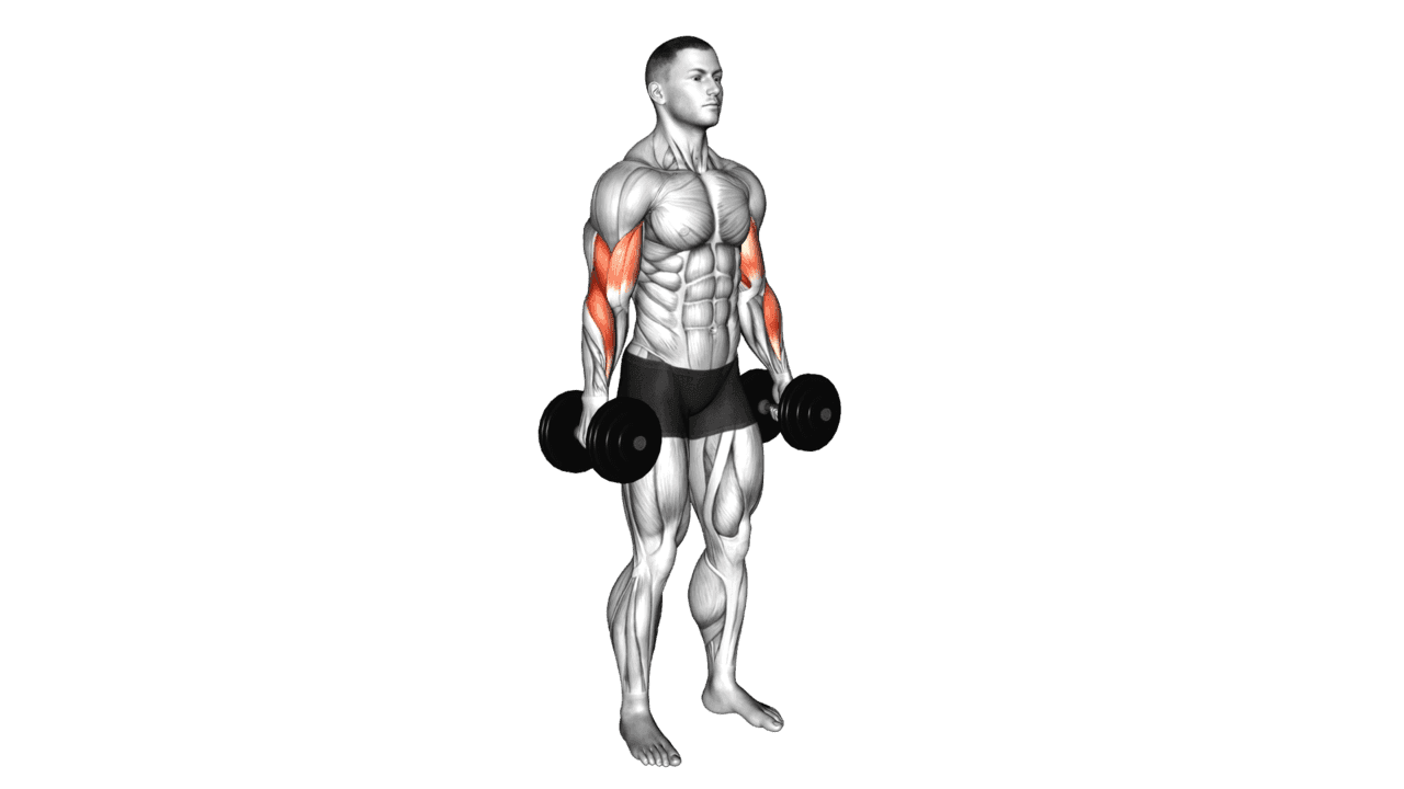 Dumbbell Hammer Curl