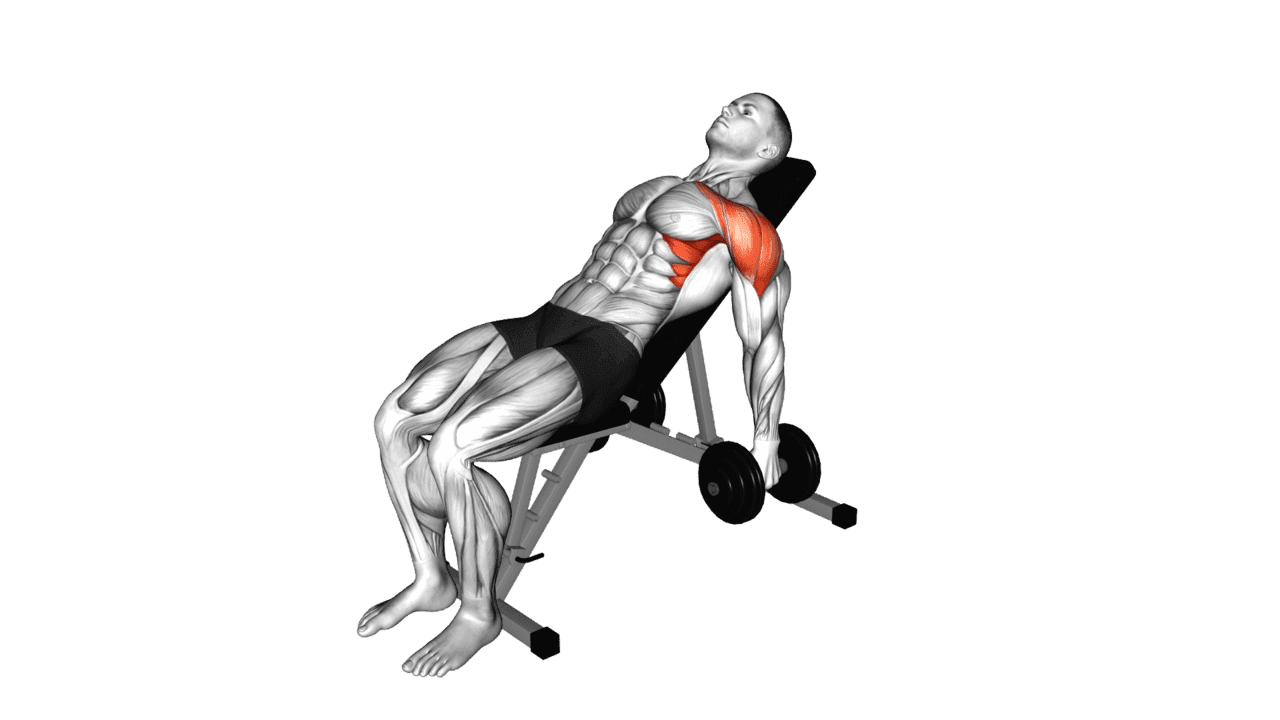 Dumbbell Incline Raise