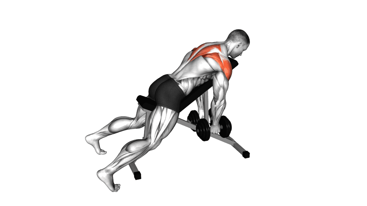 Dumbbell Incline Rear Lateral Raise