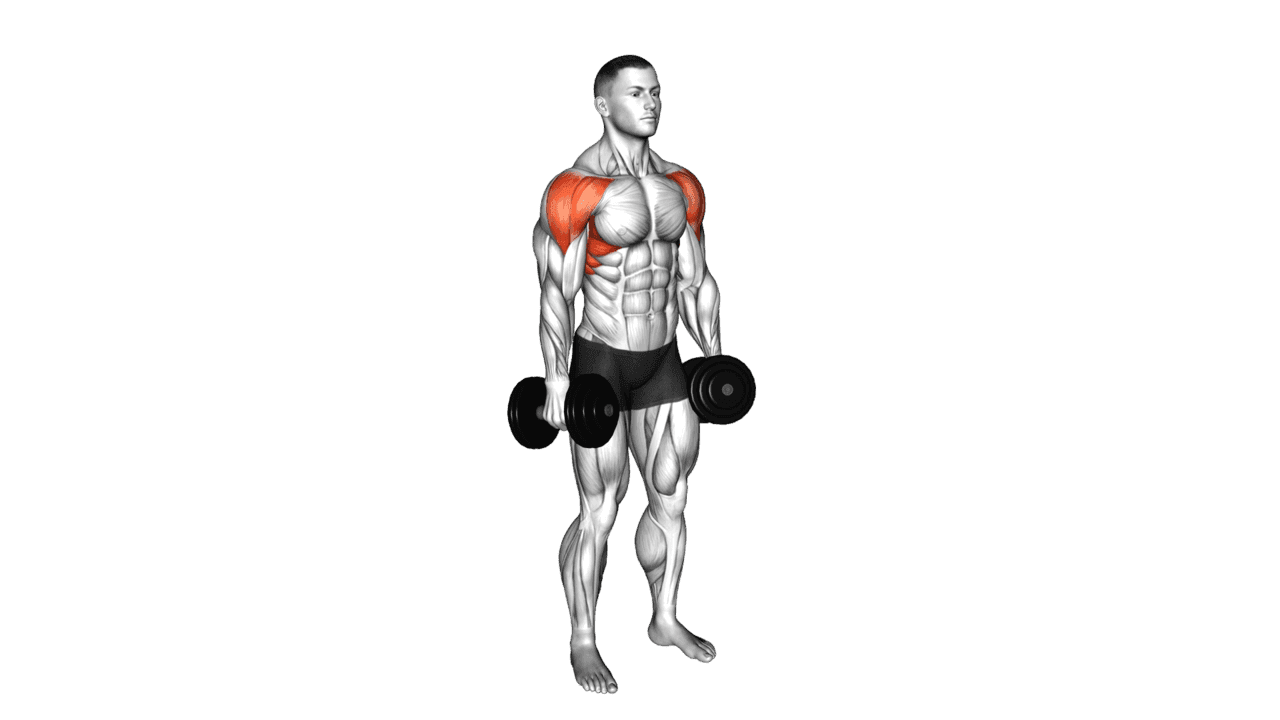 Dumbbell Lateral Raise