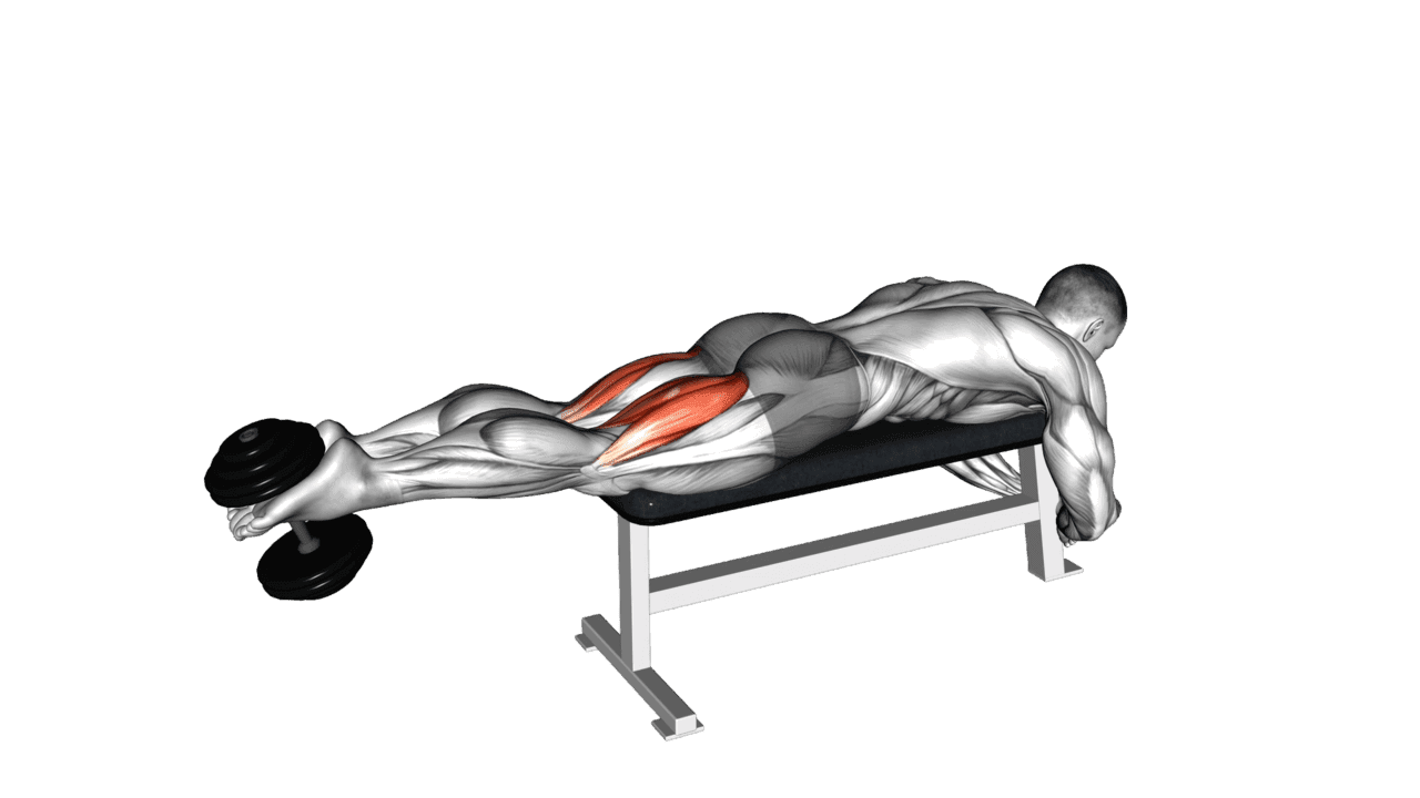 Dumbbell Lying Femoral