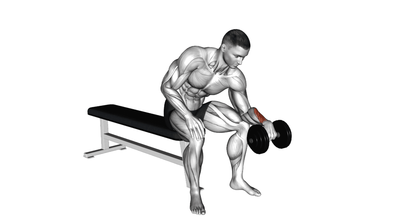 Dumbbell One Arm Reverse Wrist Curl