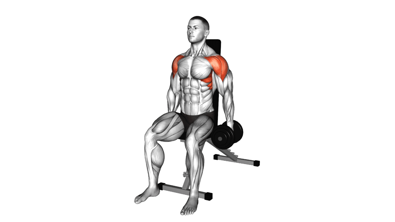Dumbbell Seated Lateral Raise