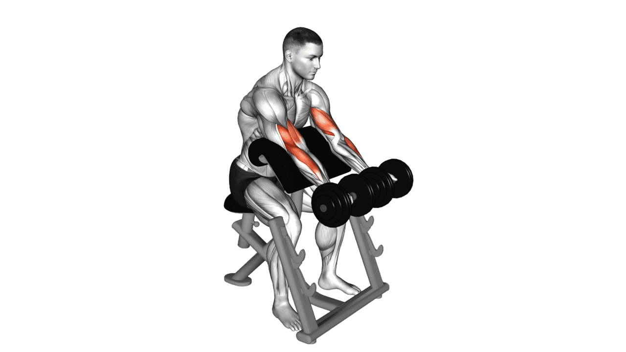 Dumbbell Seated Preacher Curl