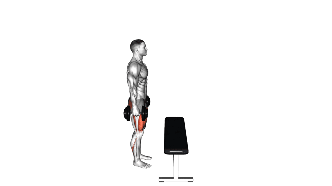 Dumbbell Step Up