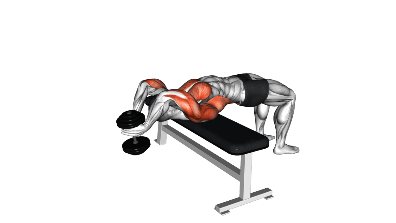 Dumbbell Straight Arm Pullover