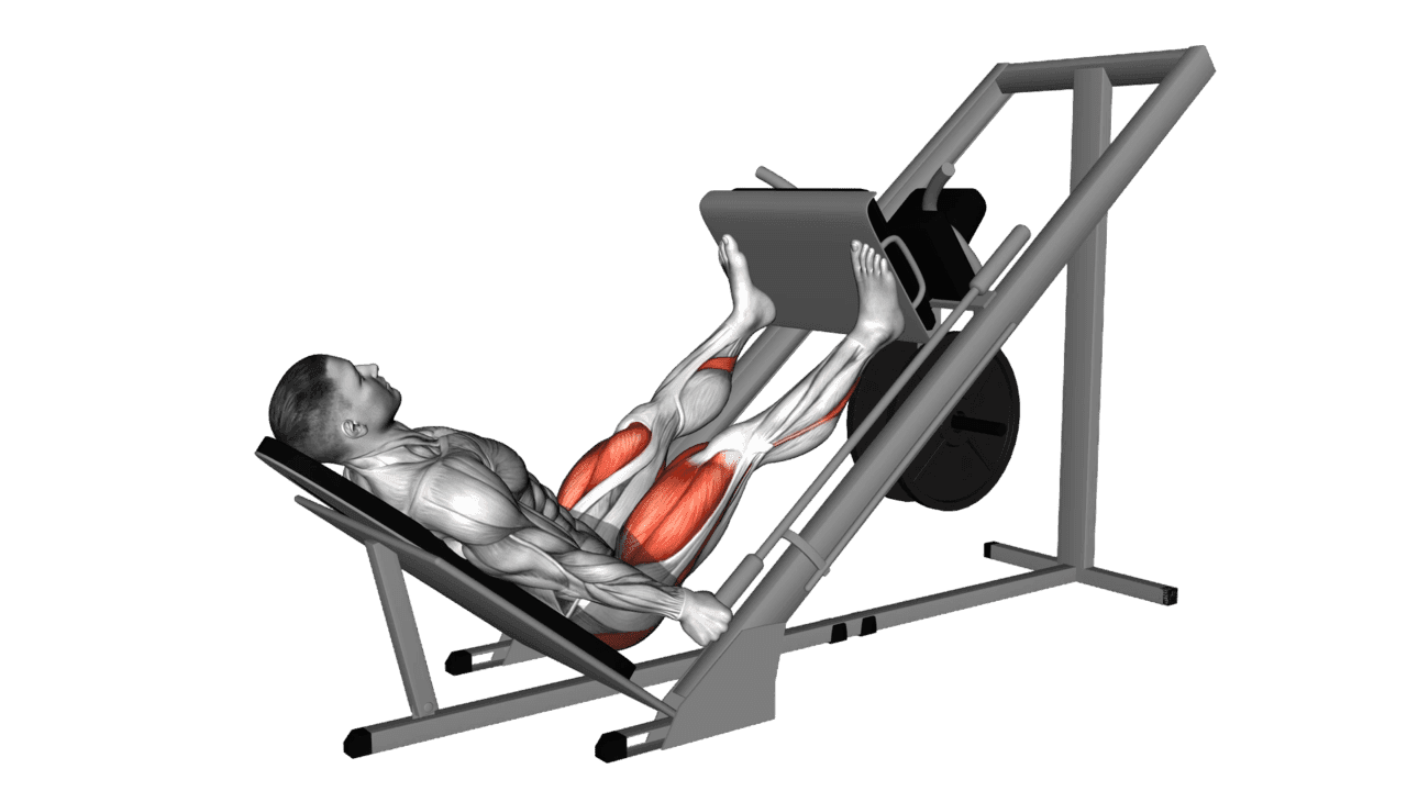 Sled 45 Leg Wide Press