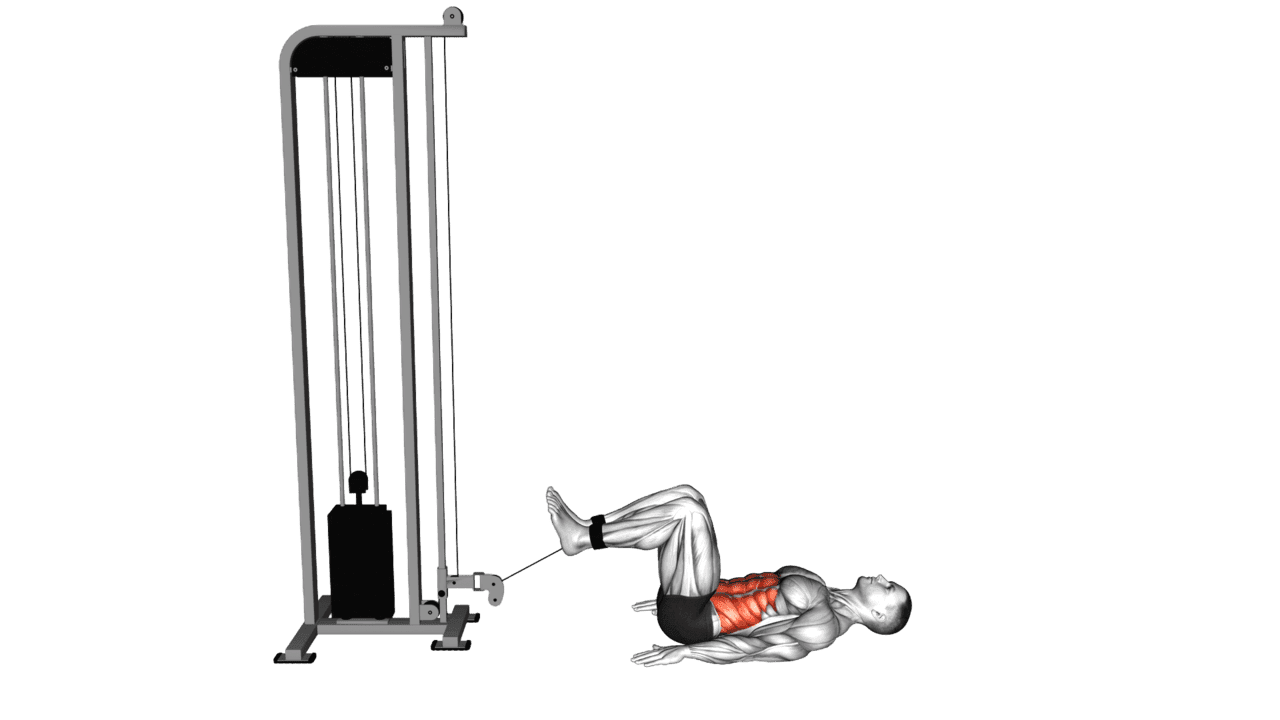 Cable Reverse Crunch