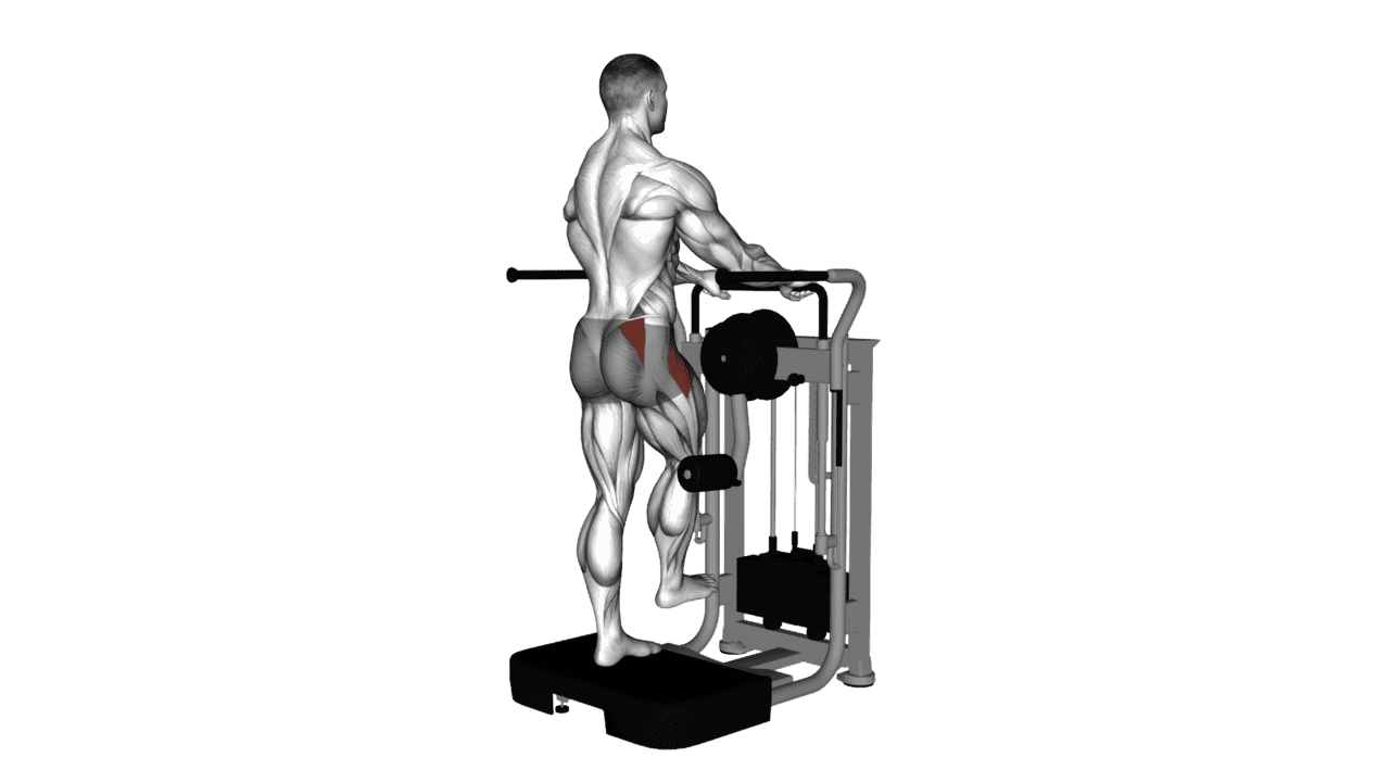 Lever Side Hip Abduction