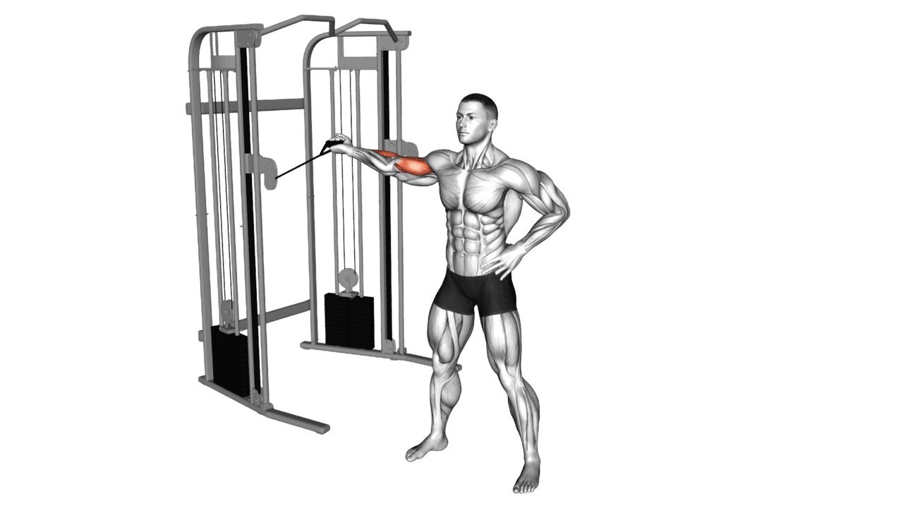 Cable One Arm Inner Biceps Curl