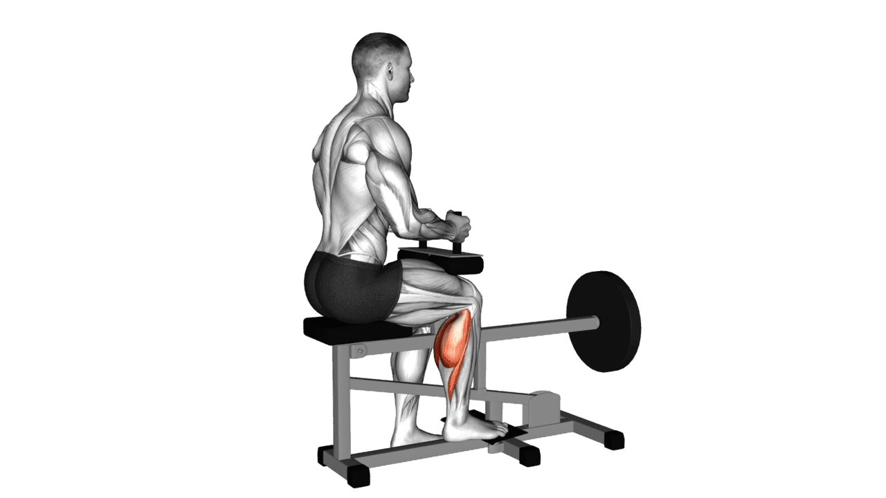 Lever Seated One Leg Calf Raise