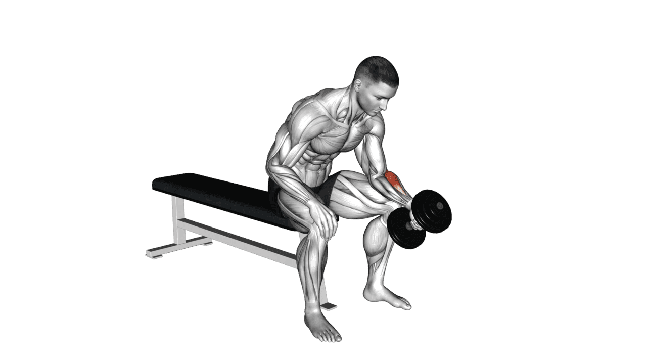 Dumbbell One Arm Seated Neutral Wrist