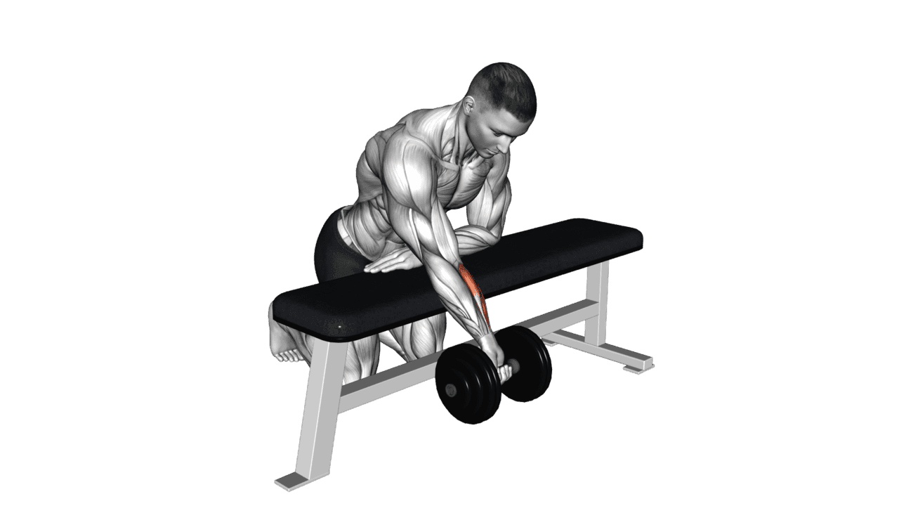 Dumbbell Over Bench One Arm Reverse