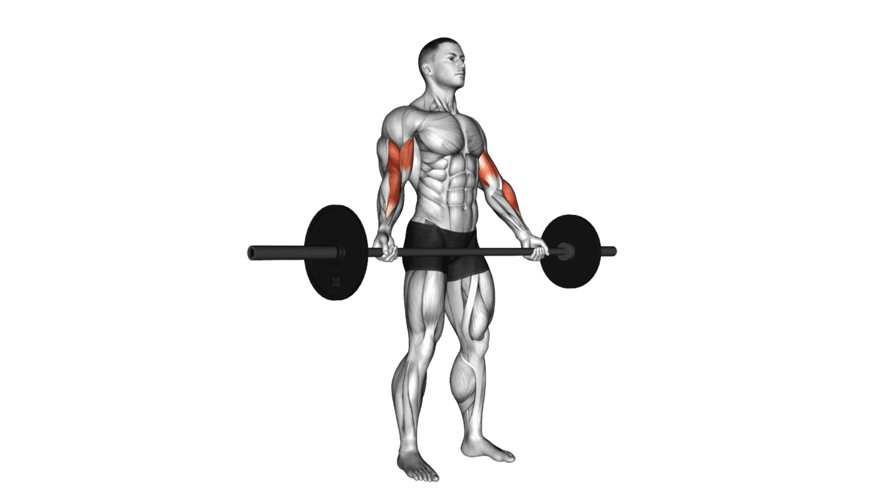 Barbell Standing Wide Grip Biceps Curl
